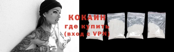 ешки Корсаков