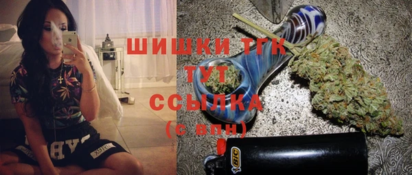 ГАЛЛЮЦИНОГЕННЫЕ ГРИБЫ Коряжма