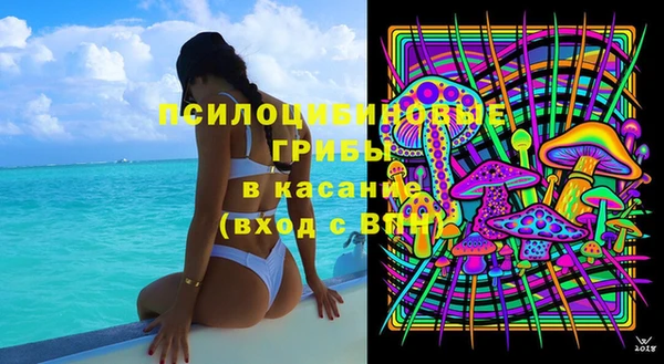 гидра Костерёво