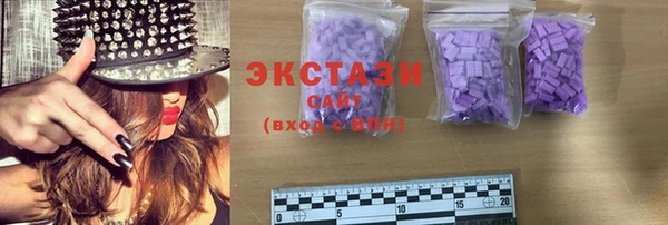 гидра Костерёво