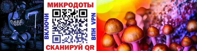 Псилоцибиновые грибы MAGIC MUSHROOMS  Купить  Велиж 